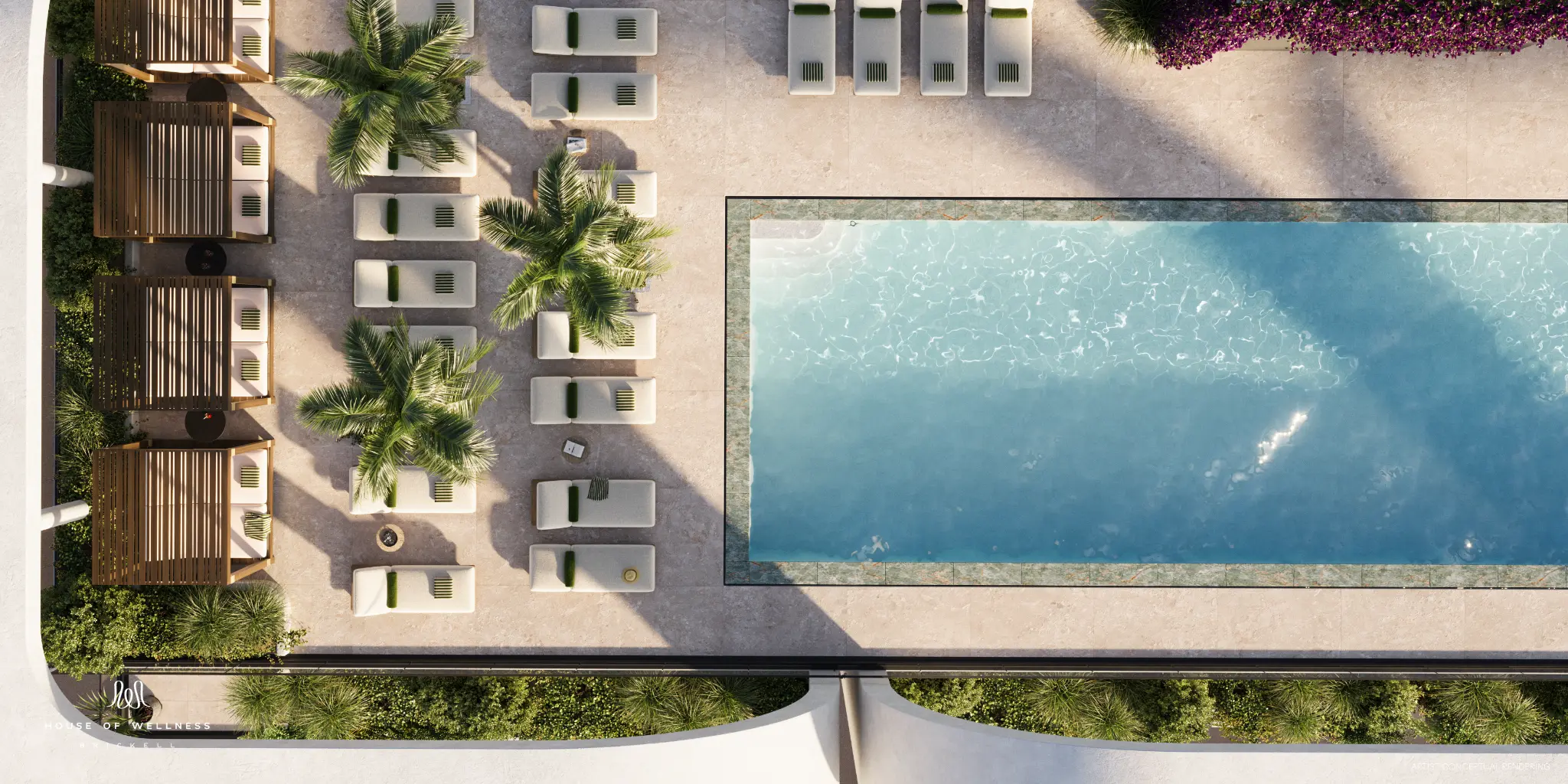 Rooftop & Pool